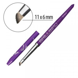 "OMBRE" BRILL PURPLE